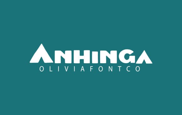 Anhinga Font for Modern Web Design