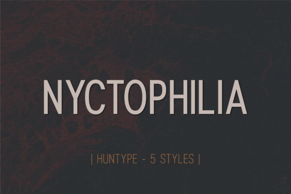Nyctophilia: A Modern Sans Serif Font for Makers