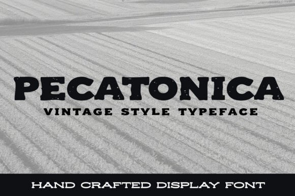 Pecatonica Font for Bold Web Design